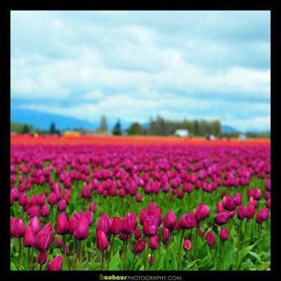 If you are truly flexible and go until... there is really very little you can't accomplish in your lifetime.-Anthony Robbins