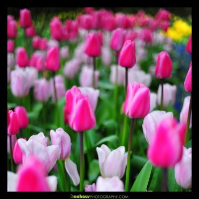 Whatever people do, they do for a reason and they think that it meets their needs....by THEIR perception.-Anthony Robbins