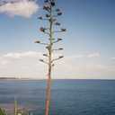 Iona Bowen Rogan - @IonaBowenRogan - Twitter