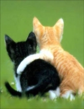 AngieToribio1's profile picture. 