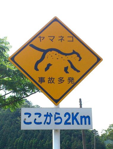 ymd_mkhk's profile picture. 長崎県対馬市出身で東京都世田谷区経堂在住のFC東京SOCIO。三児の父。音楽業界で働くWeb技術者→情シスの人になり、Windowsの勉強中。(ネットワーク|データベース|情報セキュリティ)スペシャリストです。