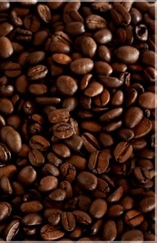Alles rund um Kaffee