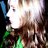 danageemcc's profile image