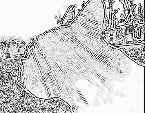 CritterComms's profile picture. Dog Mum. Communications prof - specializing in companion animal & business communications for all critter and pet related industries.