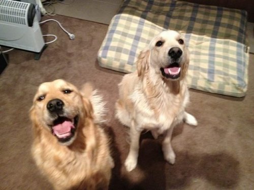 pearce_jason's profile picture. 