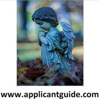 USMLE Guide (@usmlesguide) 's Twitter Profile