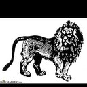 Brian molloy - @Bmolloy49 - Twitter