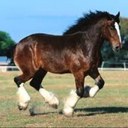 heather whitmire - @WhitmireH - Twitter