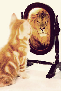 love__yourself_'s profile picture. Do you love yourself enough? I am a nice person who helps with low self-esteem, confidence & anxieties. Please visit my blog & have a read.