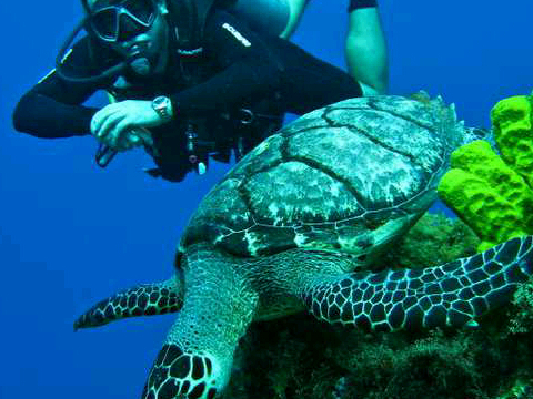 kikesan76's profile picture. 