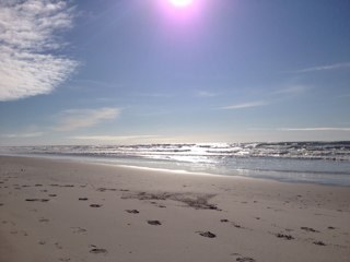 TroutAvenue's profile picture. 