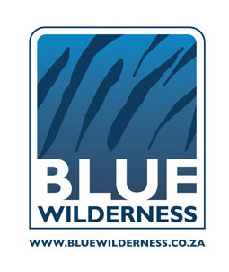 Blue_Wilderness's profile picture. Come try our once in a lifetime ADVENTURE :) You choose Cage or Cageless dive the difference with us at Blue Wilderness :)