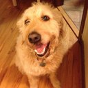 Meghan Grady - @Mooghan - Twitter