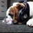 RADIOFABIAN's profile image