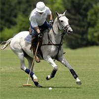 Chip Campbell (@chipcampbell) 's Twitter Profile