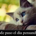 Edison Ruiz Castro - @Edisonrz9 - Twitter