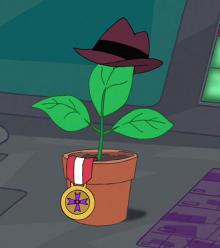 A sentient plant, who’s unusual skills led him to a successful career as a secret agent for OWCA. Specializing in surveillance.