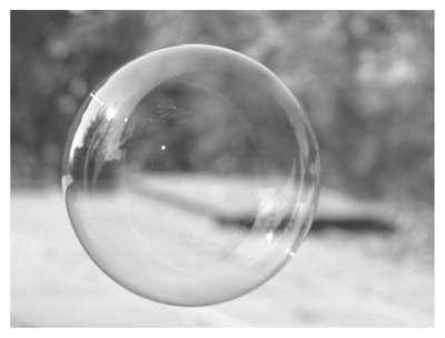 eligeaventura's profile picture. Siempre junto a los cerebros más selectos y compatibles con el mío 🧠💖