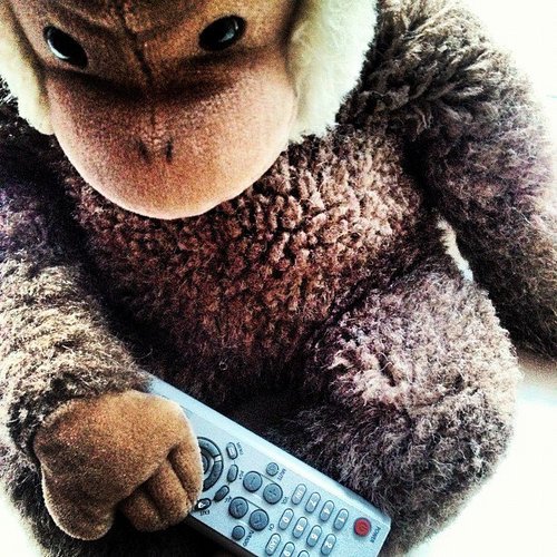 tomjan 🇺🇦🇬🇱🇪🇺🇸🇪🇵🇸