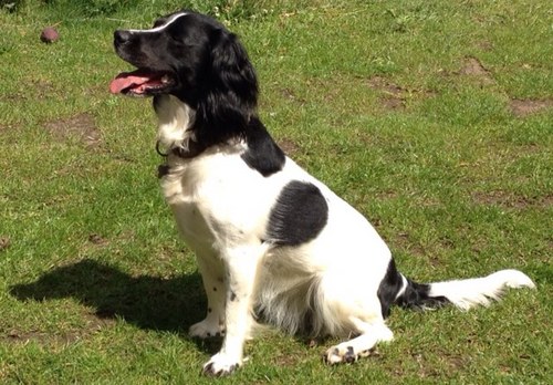 Jonbaxter's profile picture. 