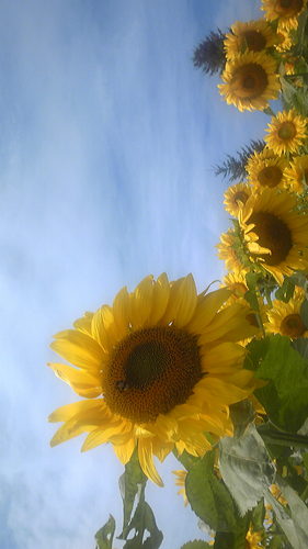 procast125's profile picture. 気分屋大学生。ぐだぐだ生活からの脱却目指して日々精進。サブアカです！UT3rd