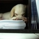 Kenny Yip - @K9_Kenny - Twitter