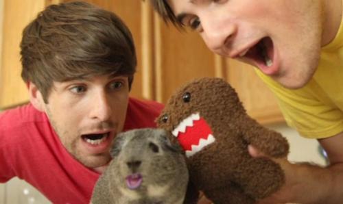 ★smosh till' death & Paddicted!#dawsonfam☆#smosher