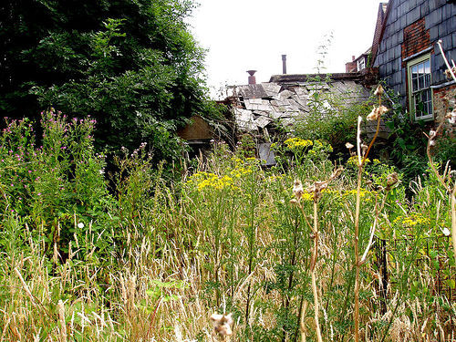 TheCrapGardener's profile picture. Consistently unsuccessful gardening enthusiast seeks lady horticulturist for short-term outdoor relationship.