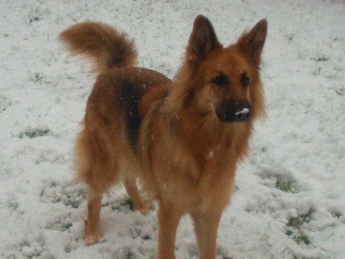 Do31372216's profile picture. 