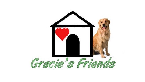 Here at Gracie's Friends we search for animals that need adoption in our local area. We are currently airing on WWAY channel 3 in Wilmington, N.C.