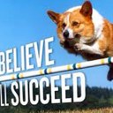 Colin Doran - @cdoran246 - Twitter