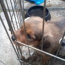 Peter Callaway - @callaway_peter - Twitter