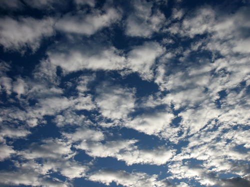 Cloud fanatic!