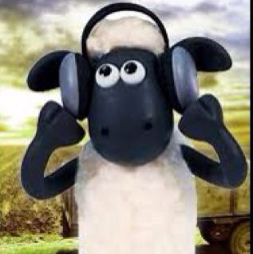 Baboonboboon's profile picture. Brebis râleuse et rebêêêlle