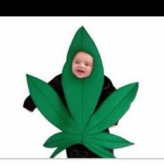 ballcheeseking's profile picture. 