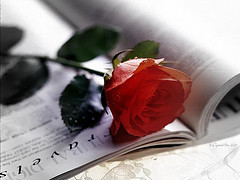 SirJoseph_md's profile picture. Welcome to the world and mind of an active Dom/Master:
Time has gotten the best of me but I intend to make the most of what I have!