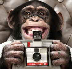 Funky. A monkey. We connect Instagram & MailChimp like peanut butter and banana.