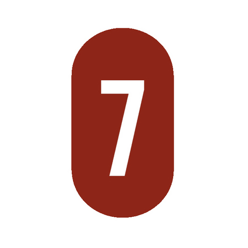 Level Seven is a consulting-centric technology and interactive agency.