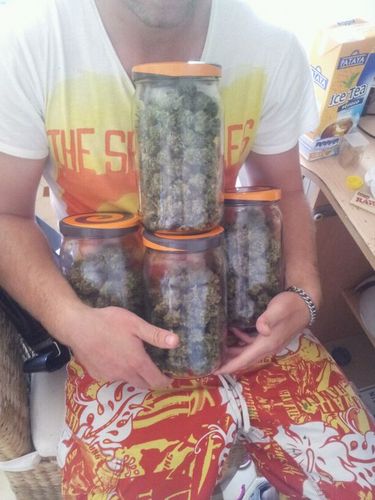 It's a fucked up world we live in these days and ganje just makes it a nicer place to live in, grow my own shit and it's simply the best
bigup #jorgecervantes