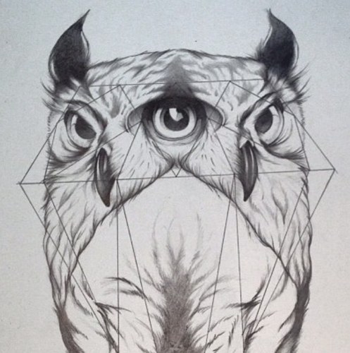 CARPE DIEM #FollowBack