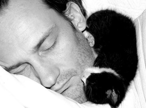 itext4's profile picture. @ miniudoが垢喪失で避難中(2022/4/30)の元私的散文置き場。現在銀英伝等で喚いてます。
各種リンク / https://t.co/1FbXHlQF8U ■ ひと言 / https://t.co/yYAcnO9vdT