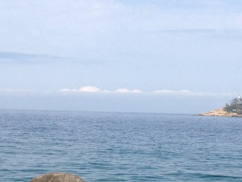 injs84's profile picture. 