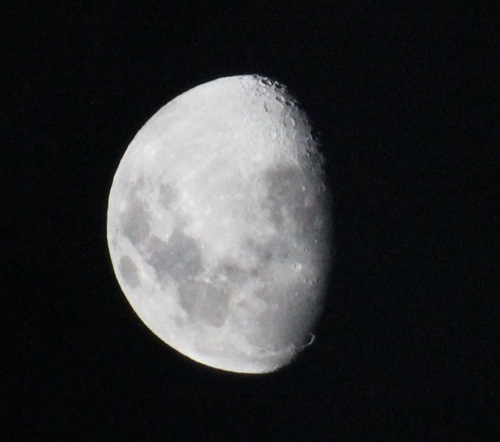 MusingFish's profile picture. Postdoctoral researcher, fan of science. Stuck in a fish bowl musing at the universe.