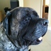 UncleHeavyD (@montedamastiff) Twitter profile photo UncleHeavyD (@montedamastiff) Twitter profile photo