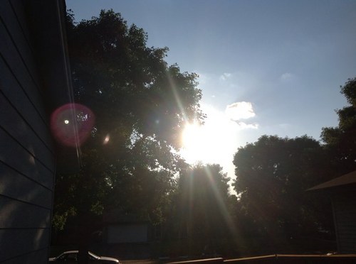 TimmmayJ's profile picture. 