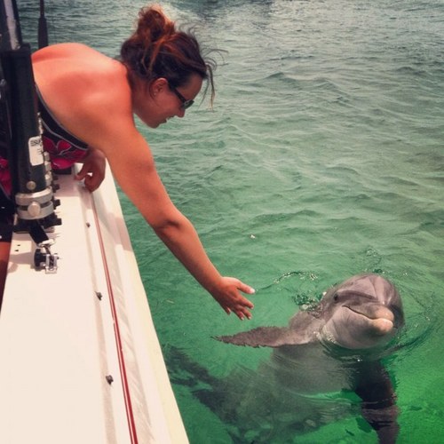 ashleykri's profile picture. 