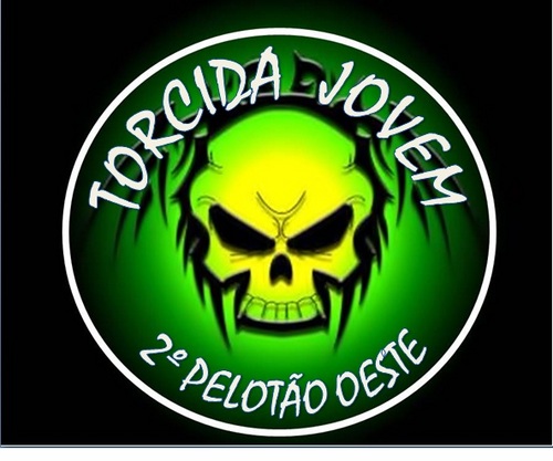 Só quem é chapecoense consegue entender essa paixão !
