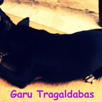 Saving The Dogs (@saving_the_dogs) 's Twitter Profile