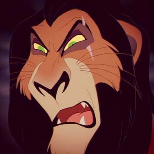 Scar_TLK's profile picture. **FAN MADE RP ACCOUNT** I was called Taka until I got my scar from a buffalo. I hang out with Hyenas.