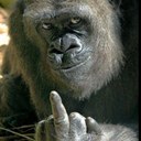 casey vinson - @FlyNavy76 - Twitter